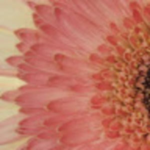 Meet your Posher, Bryana